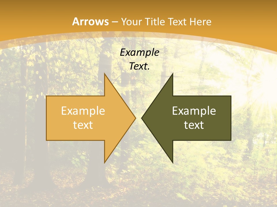 Backlit Set Wooden PowerPoint Template