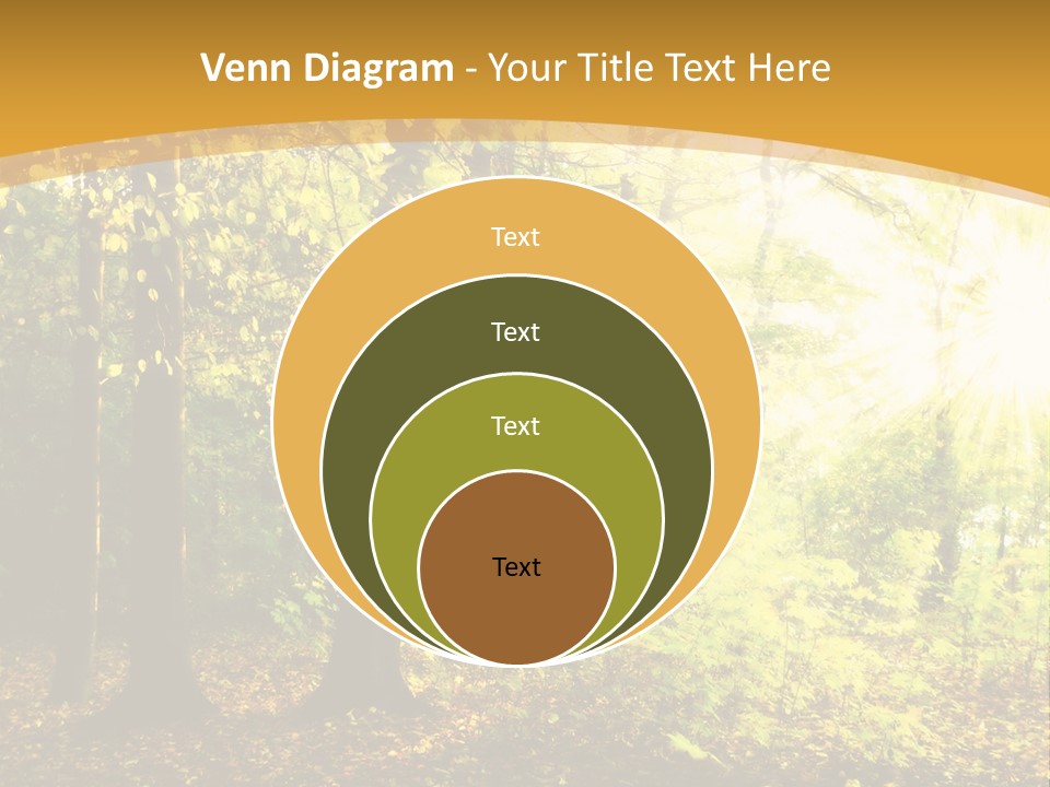 Backlit Set Wooden PowerPoint Template
