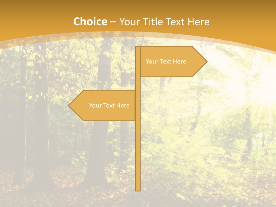 Backlit Set Wooden PowerPoint Template