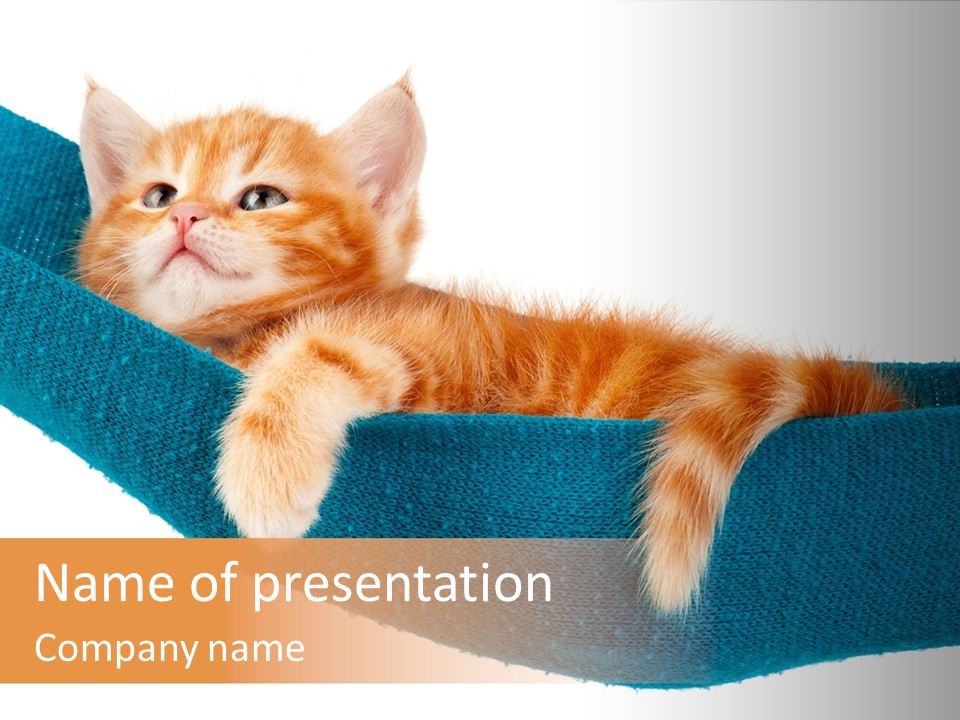Humor Cut Out Loving PowerPoint Template