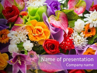 Gift Growth Celebration PowerPoint Template