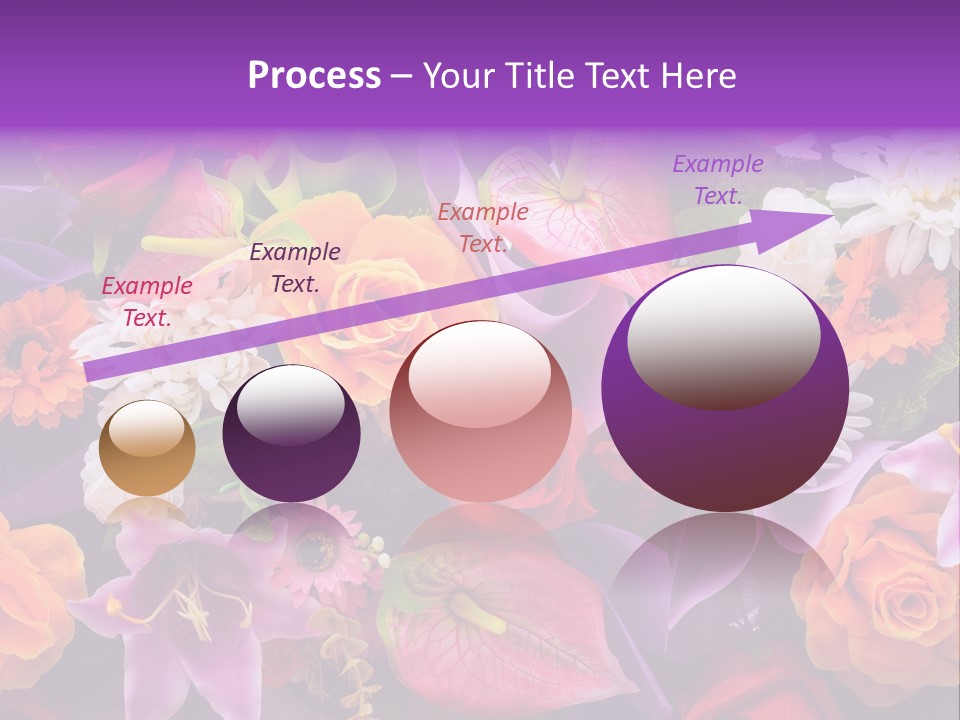 Gift Growth Celebration PowerPoint Template