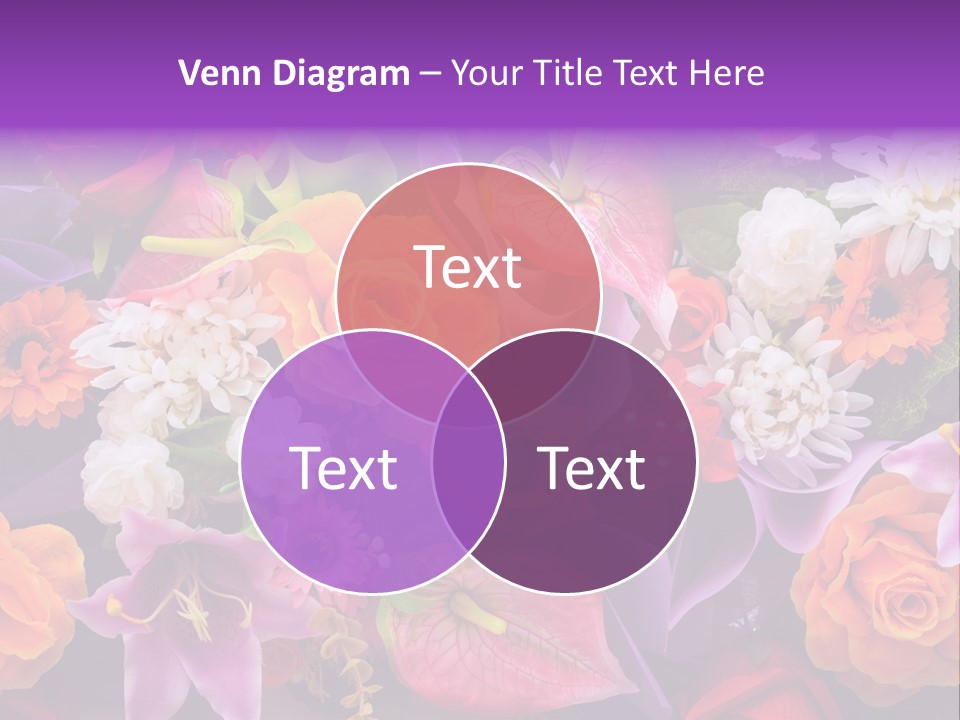 Gift Growth Celebration PowerPoint Template