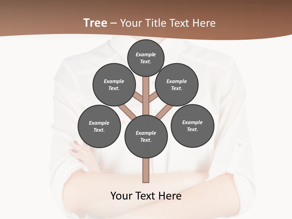 Camera Studio Copy PowerPoint Template