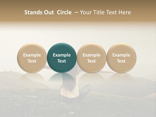 Lawn Care Open PowerPoint Template