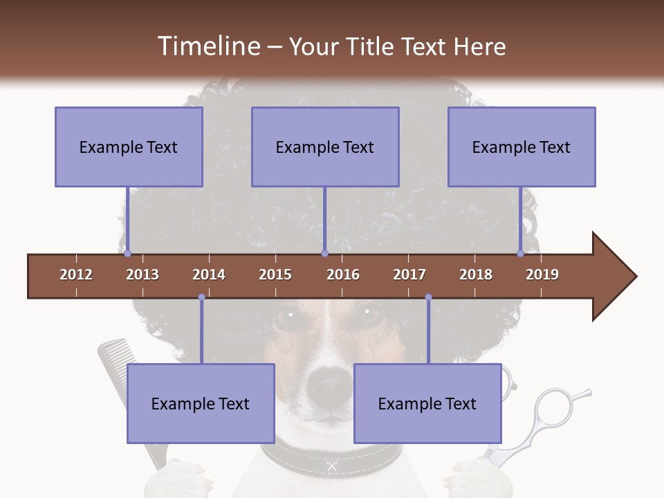 Care Head Hair PowerPoint Template