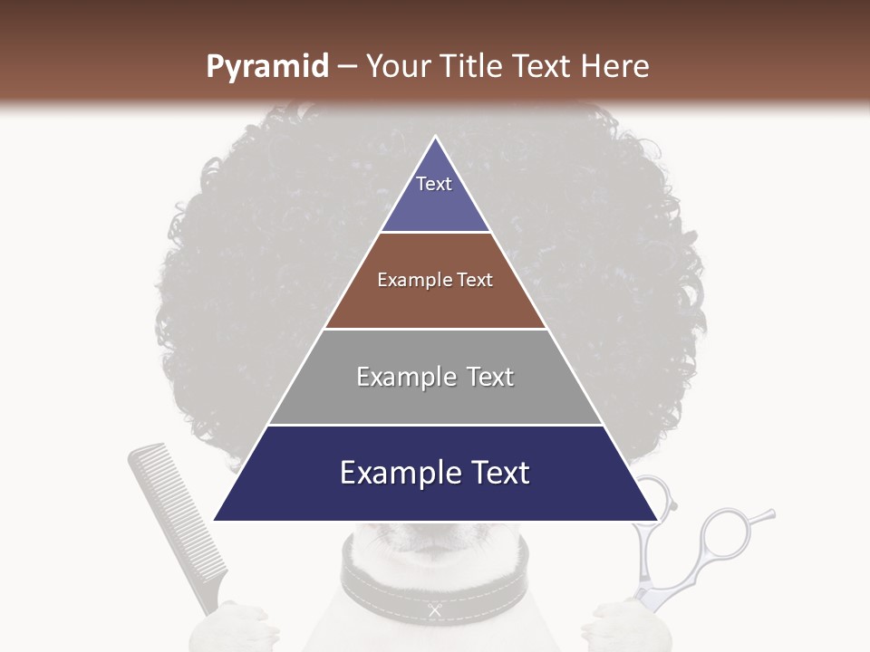 Care Head Hair PowerPoint Template