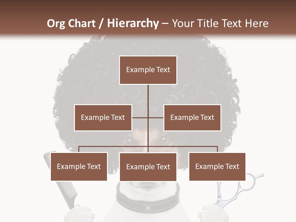 Care Head Hair PowerPoint Template