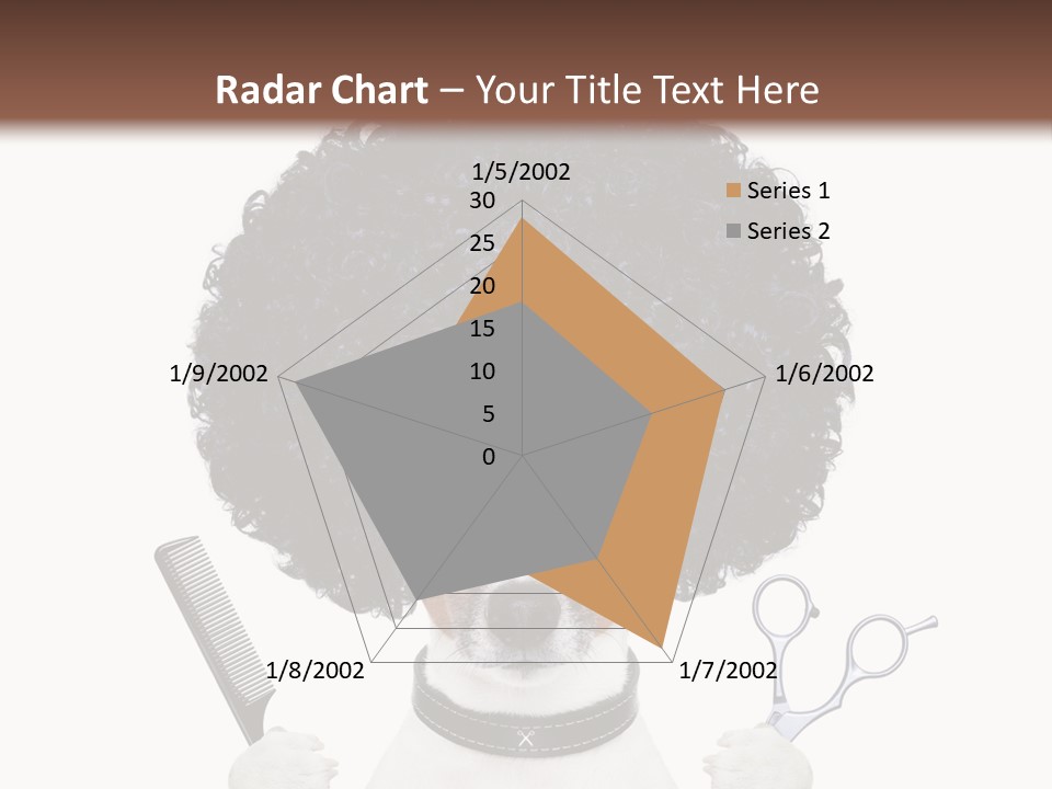 Care Head Hair PowerPoint Template