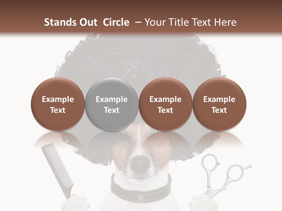 Care Head Hair PowerPoint Template