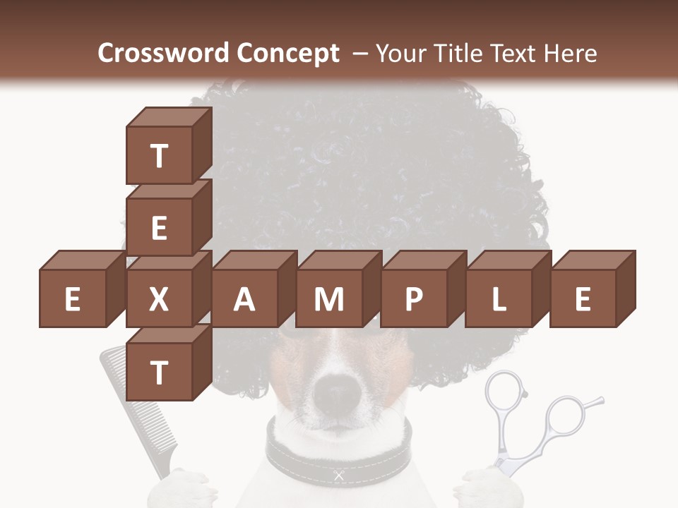 Care Head Hair PowerPoint Template