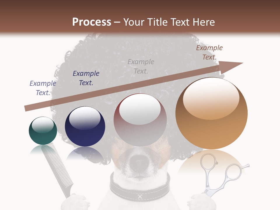 Care Head Hair PowerPoint Template