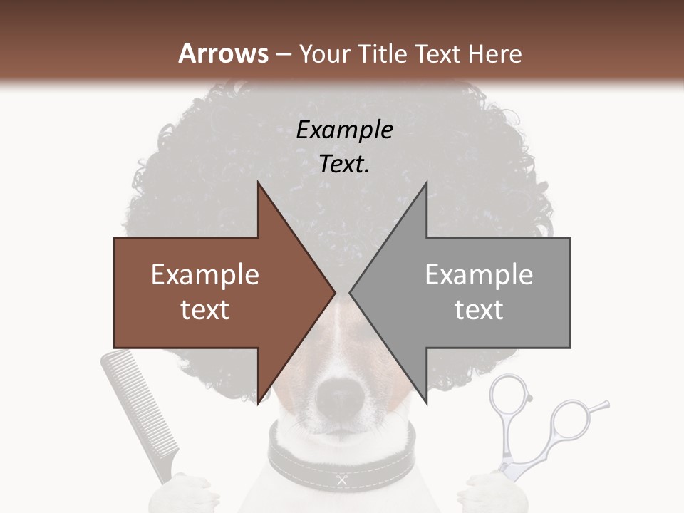 Care Head Hair PowerPoint Template