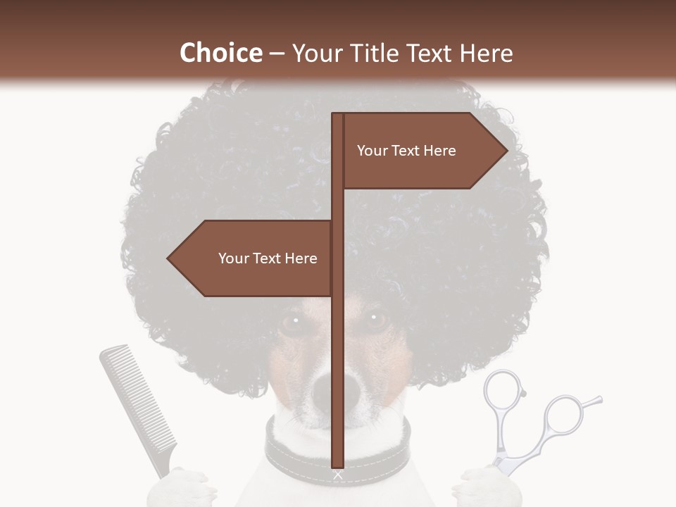 Care Head Hair PowerPoint Template