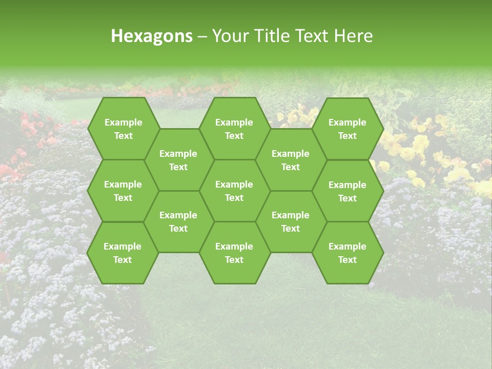 Trees Yellow Autumn PowerPoint Template