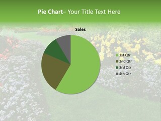 Trees Yellow Autumn PowerPoint Template