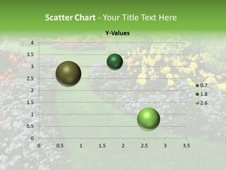 Trees Yellow Autumn PowerPoint Template