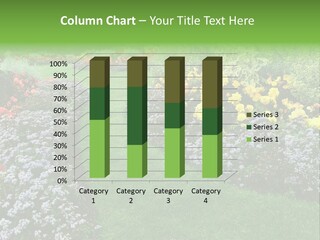 Trees Yellow Autumn PowerPoint Template