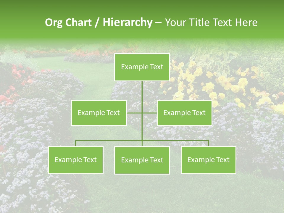 Trees Yellow Autumn PowerPoint Template