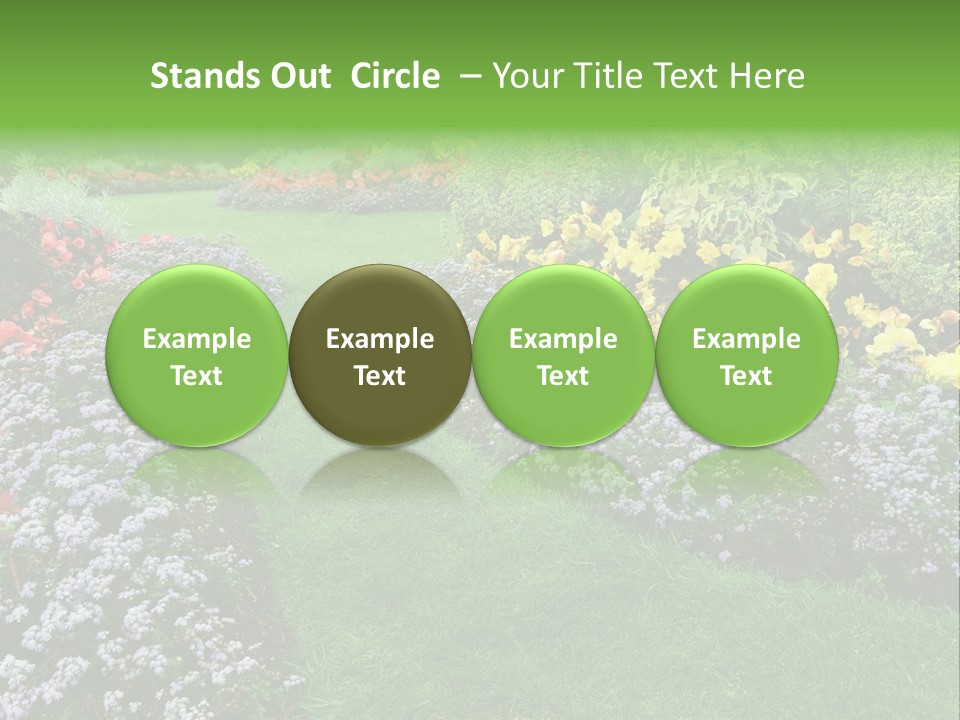 Trees Yellow Autumn PowerPoint Template