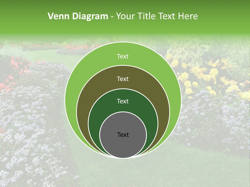 Trees Yellow Autumn PowerPoint Template