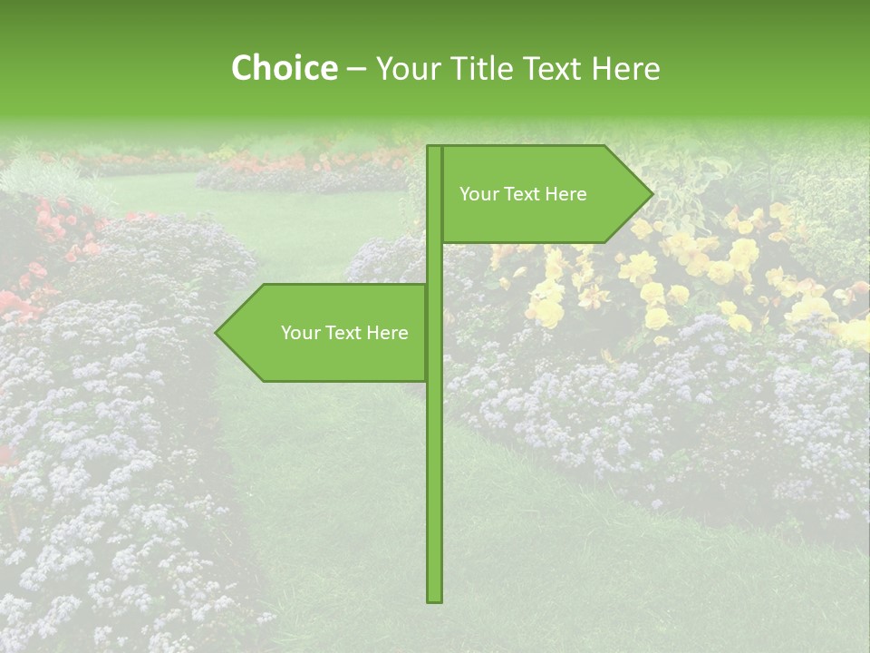 Trees Yellow Autumn PowerPoint Template