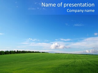 Plain Day Outside PowerPoint Template