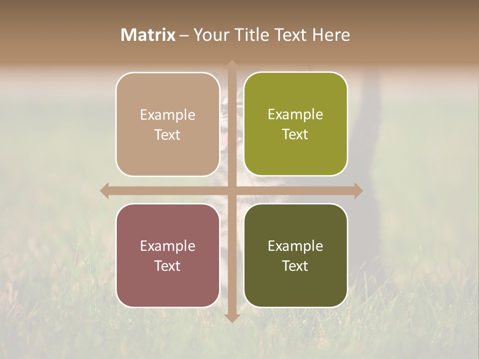 Breed Curious Charming PowerPoint Template