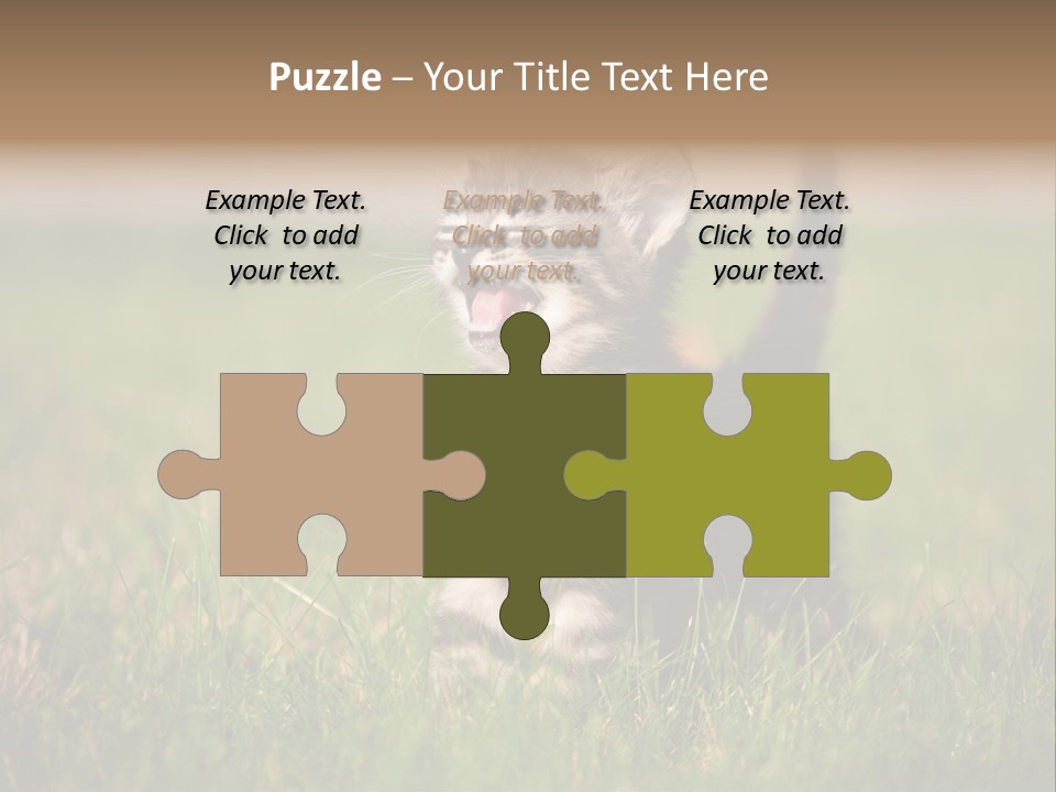 Breed Curious Charming PowerPoint Template