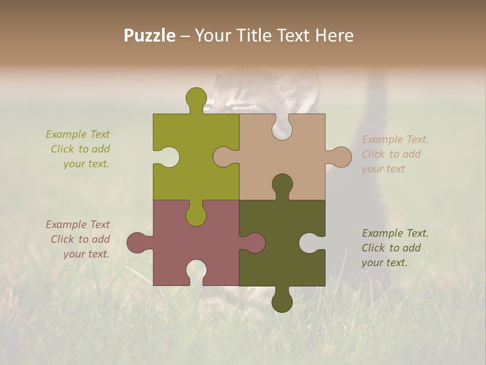 Breed Curious Charming PowerPoint Template