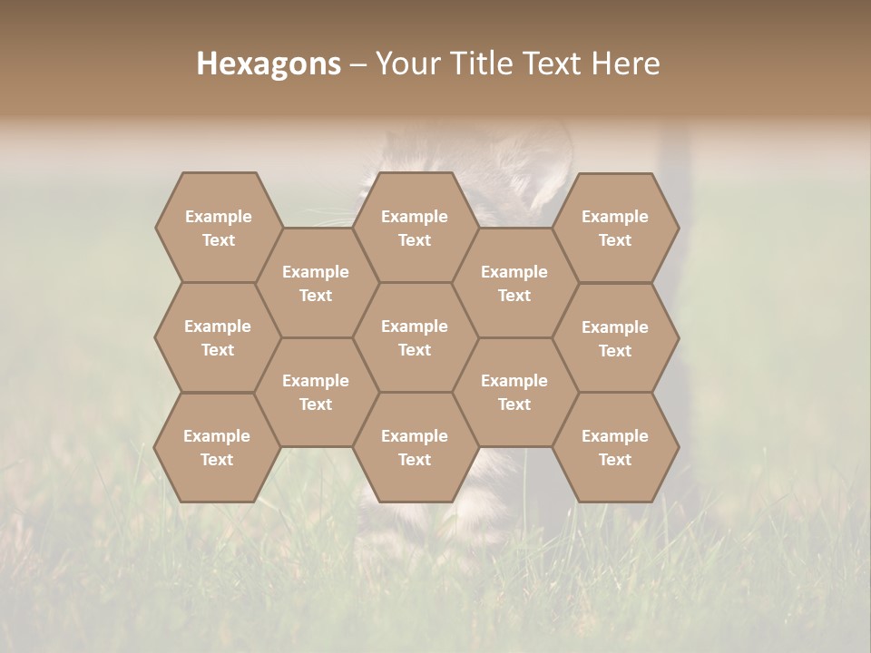 Breed Curious Charming PowerPoint Template