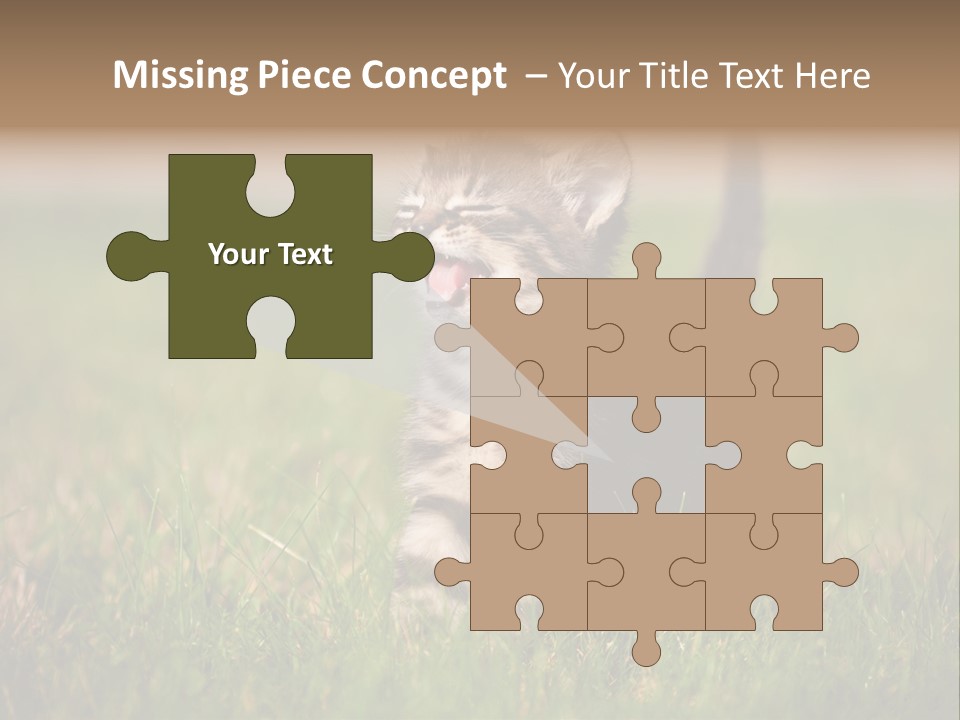 Breed Curious Charming PowerPoint Template