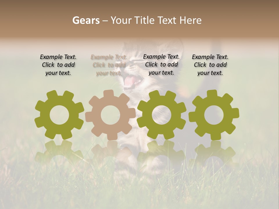 Breed Curious Charming PowerPoint Template