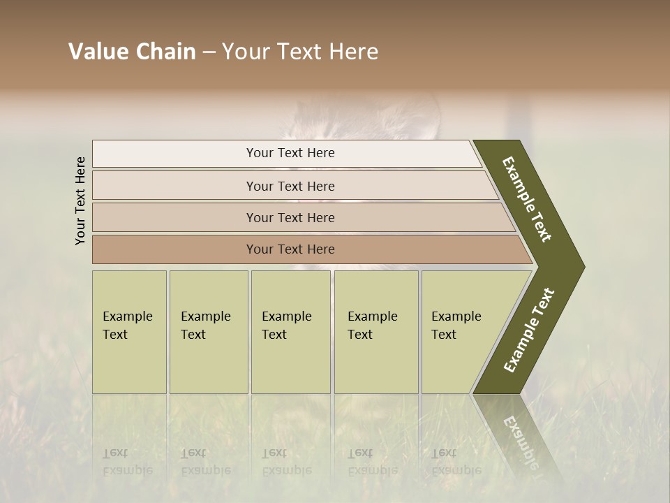 Breed Curious Charming PowerPoint Template