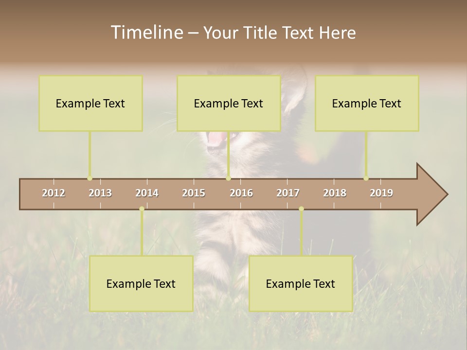 Breed Curious Charming PowerPoint Template