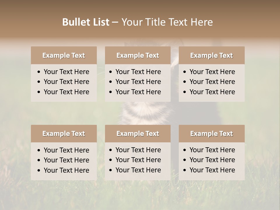 Breed Curious Charming PowerPoint Template