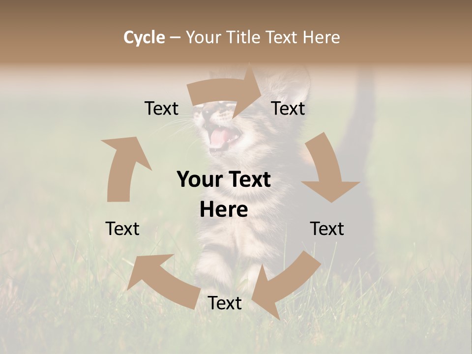 Breed Curious Charming PowerPoint Template