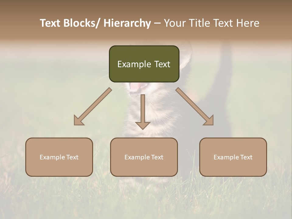 Breed Curious Charming PowerPoint Template