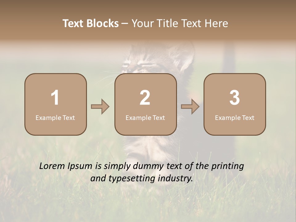 Breed Curious Charming PowerPoint Template