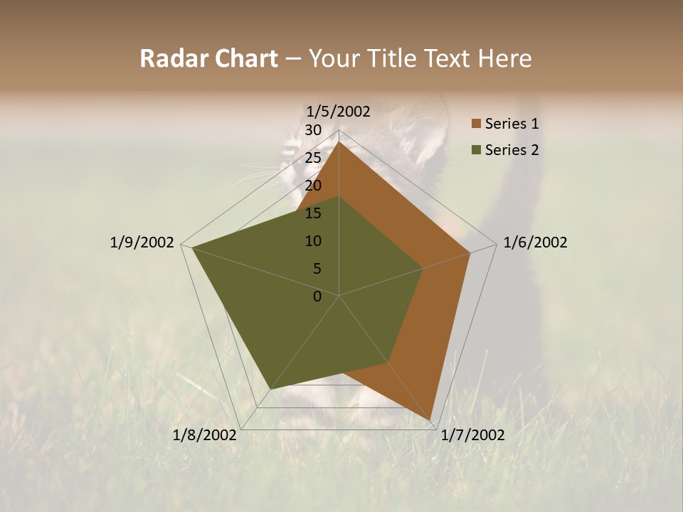 Breed Curious Charming PowerPoint Template
