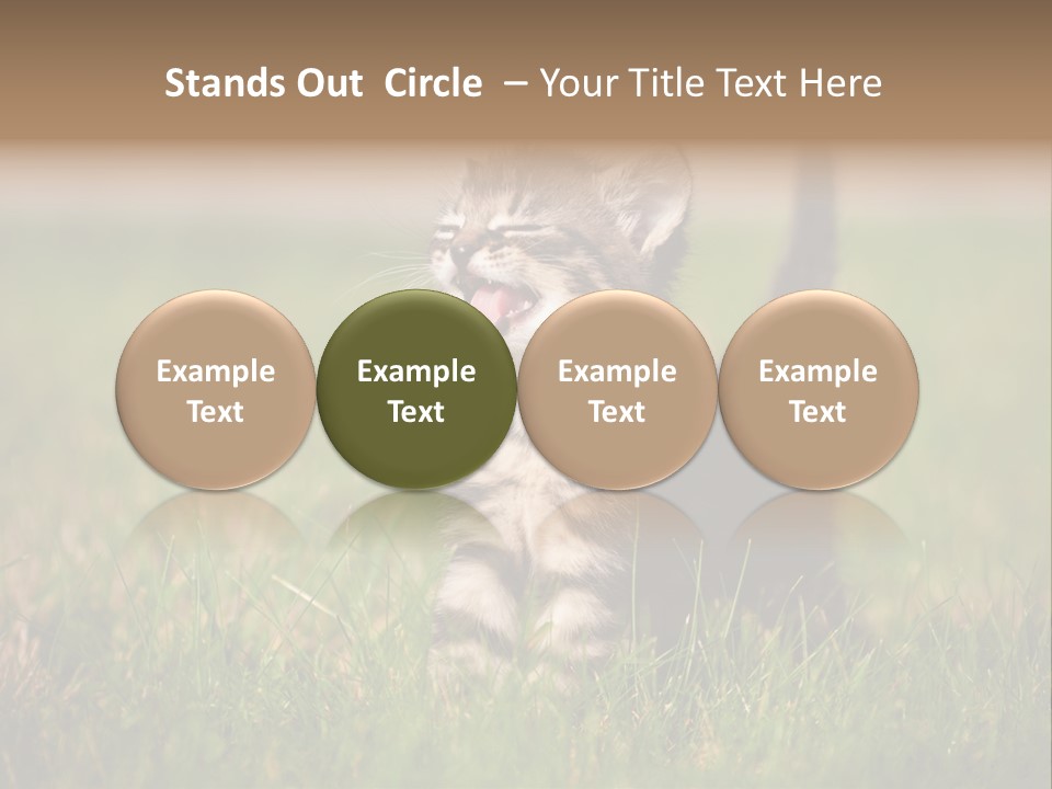 Breed Curious Charming PowerPoint Template