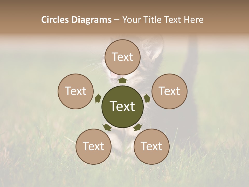 Breed Curious Charming PowerPoint Template