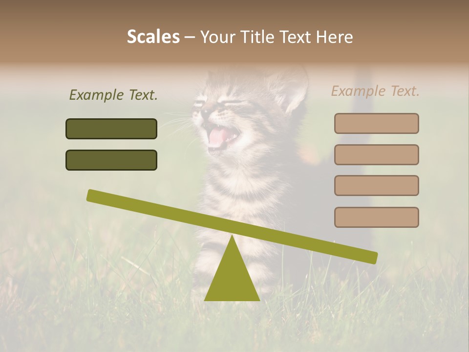 Breed Curious Charming PowerPoint Template