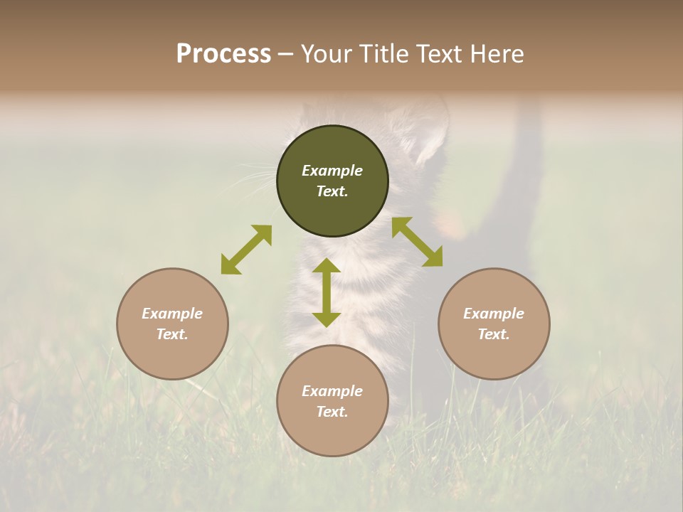 Breed Curious Charming PowerPoint Template