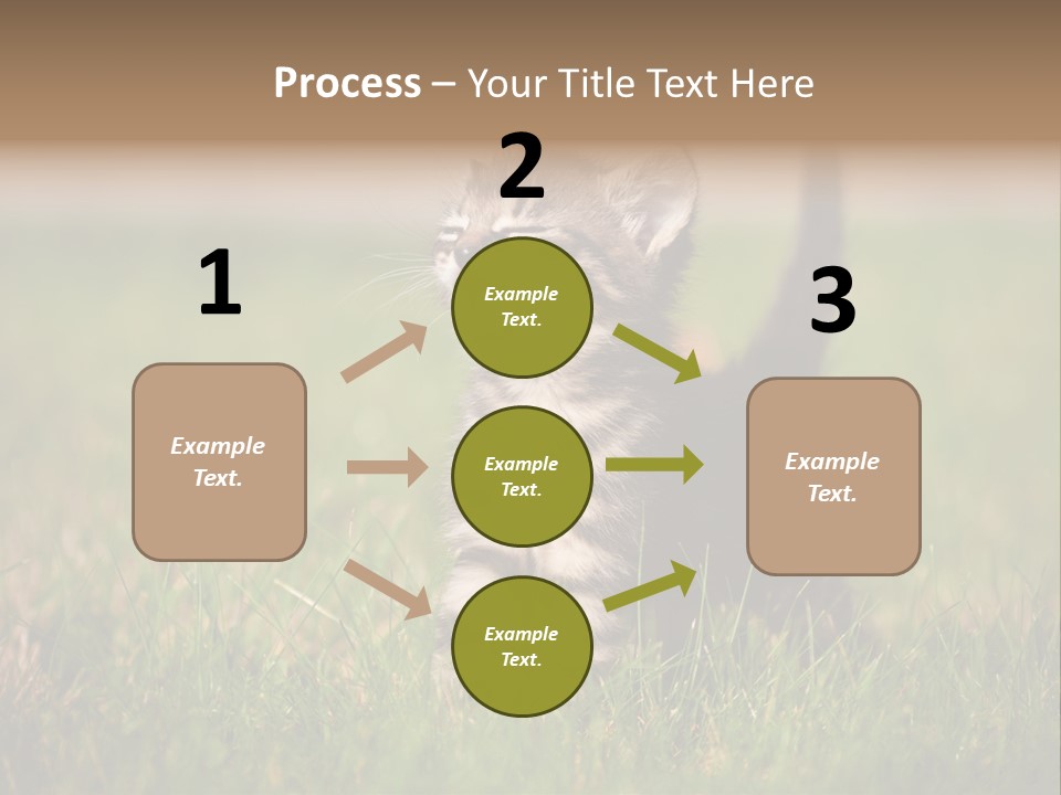 Breed Curious Charming PowerPoint Template