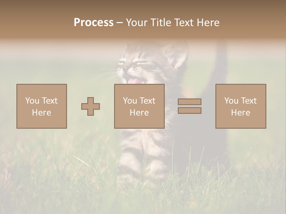 Breed Curious Charming PowerPoint Template