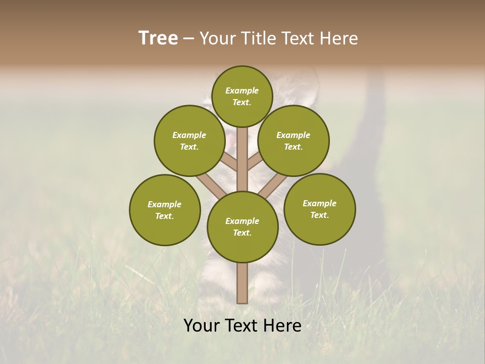 Breed Curious Charming PowerPoint Template