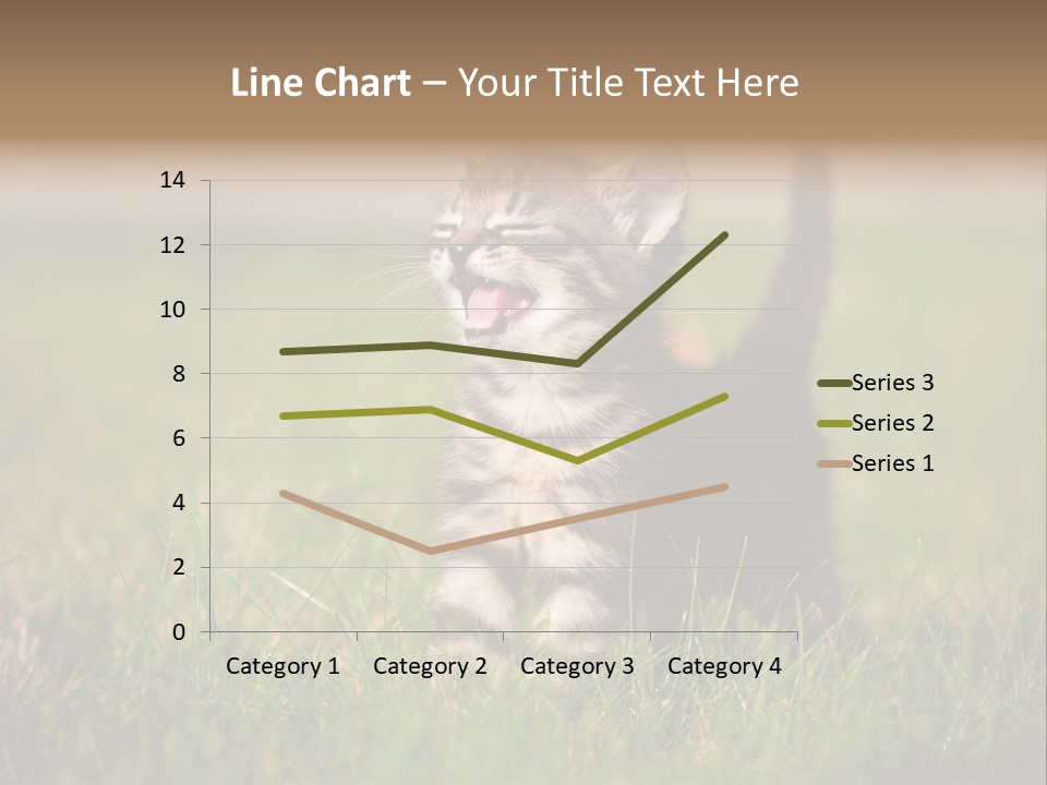Breed Curious Charming PowerPoint Template