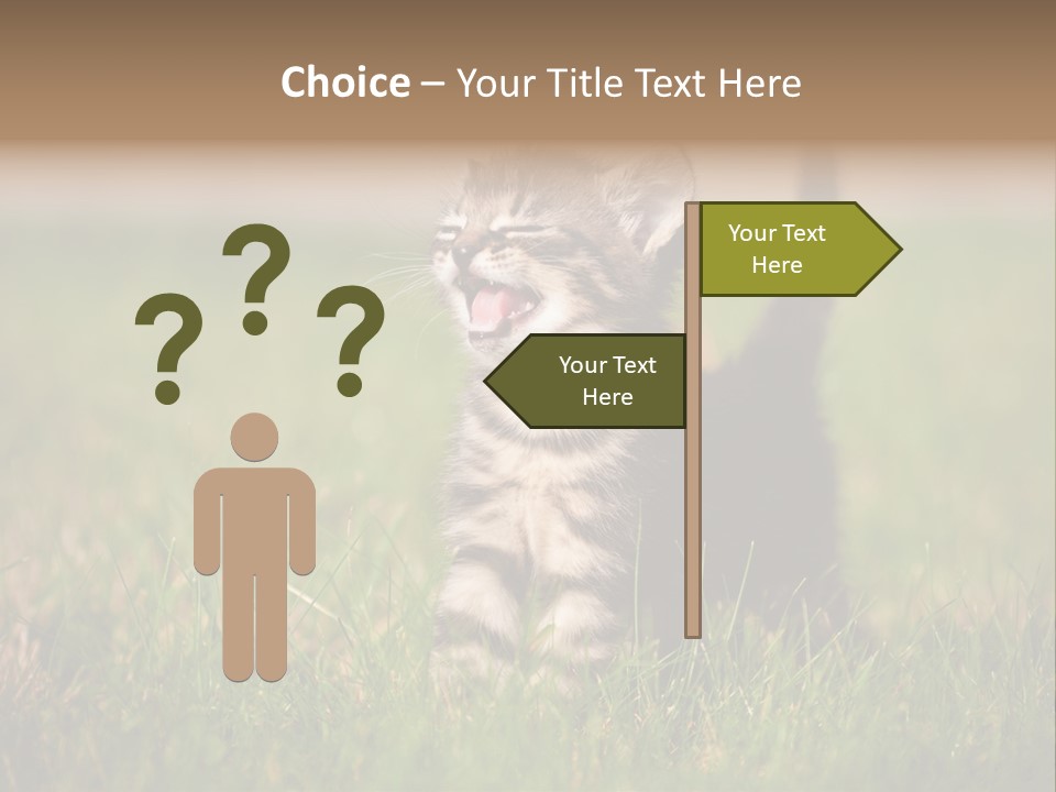 Breed Curious Charming PowerPoint Template