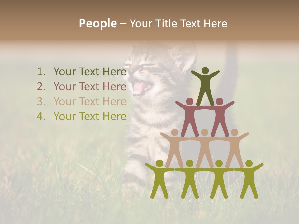 Breed Curious Charming PowerPoint Template